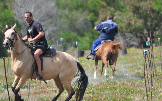 Gansbaai Perde Boersport BBos 4